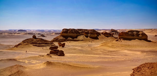 nature sculpture in wadi al-hitan aka whales valley in egypt - leito de rio imagens e fotografias de stock