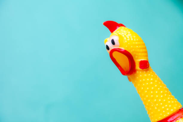 istock squawking chicken or squeaky toy are shouting and copy space pastel background. 1150924557