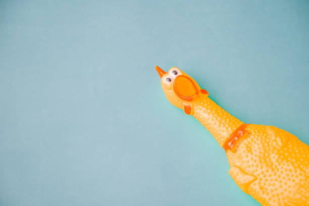 istock squawking chicken or squeaky toy are shouting and copy space pastel background. 1150924637