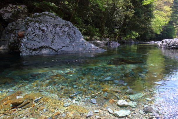istock A gentle stream maiden Kawahara early summer (Kochi Prefecture Yasui Valley) 1150926496