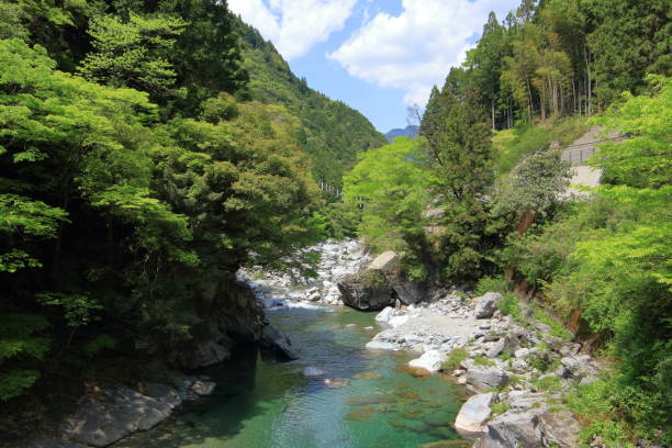 istock Early summer a view of the valley from Yonou Bridge (niyodogawa) 1150927428