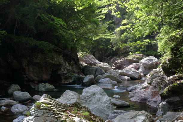 istock Fresh green Nakatsu Valley (Kochi Prefecture) 1150927745