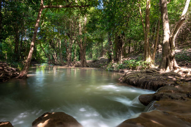istock Waterfall green forest river stream landscape ,Waterfall hidden in the tropical jungle at National Park,Thailand. 1150928014