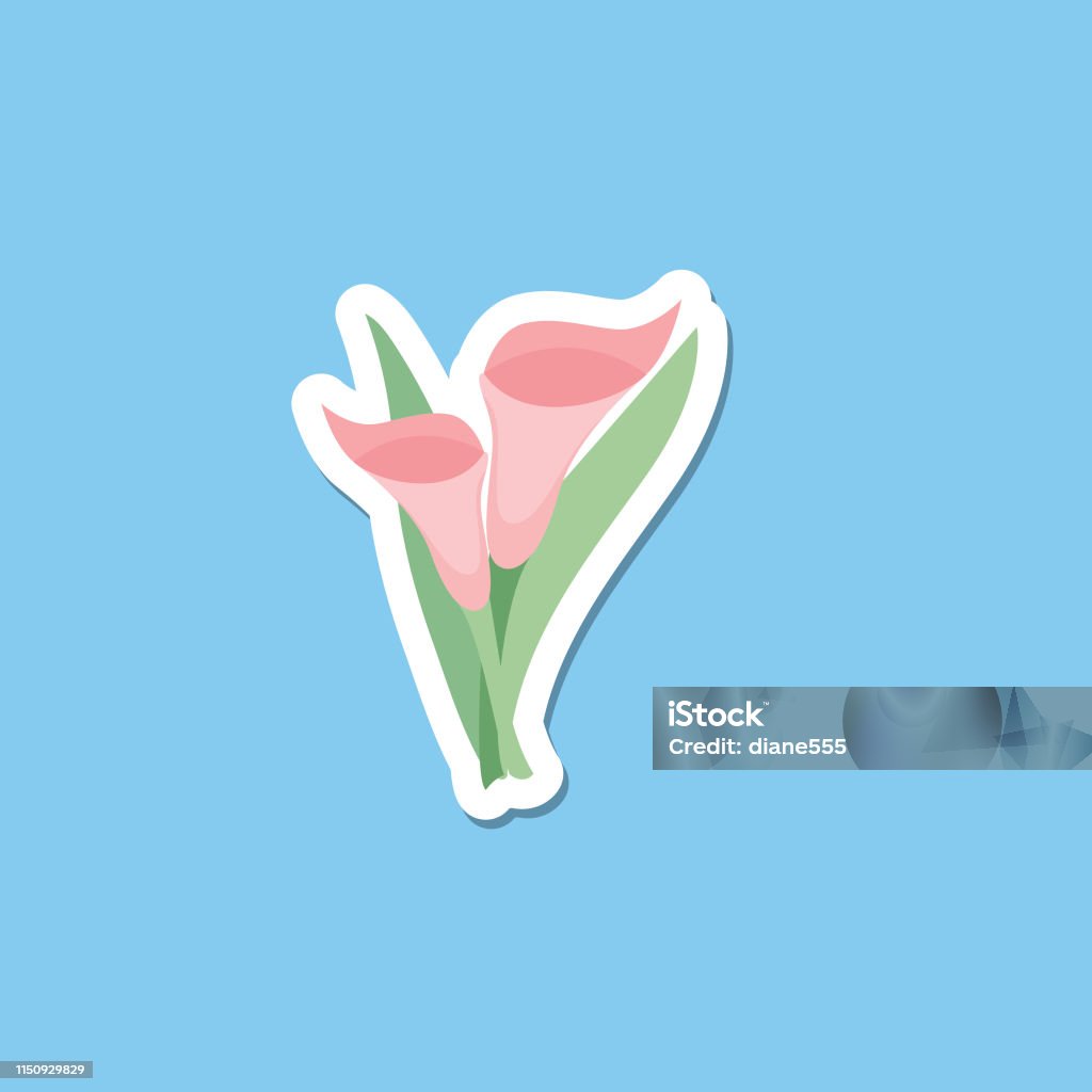 Cute Flower Icon In Flat Design - Pink Calla Lily Simple flower icon in flat design style isolated on white. Calla Lily stock vector