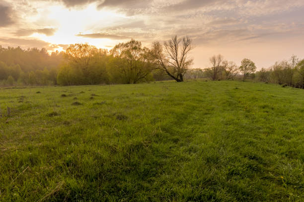 istock Sunset in a field with grass and footpath. 1150931971