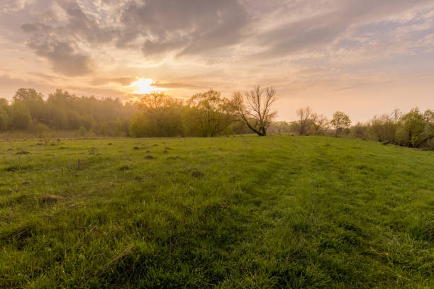 istock Sunset in a field with grass and footpath. 1150931984