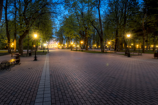 City night park in early summer or spring with pavement, young green leaves and trees. Landscape.