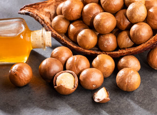 istock Nuts and macadamia oil - Macadamia integrifolia 1150933022