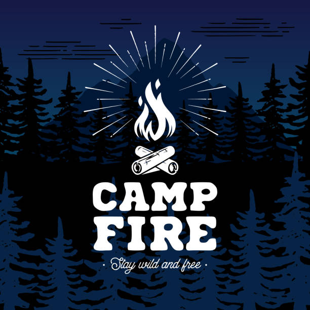 ilustrações de stock, clip art, desenhos animados e ícones de campfire emblem on forest background vector illustration. - camping campfire boy scout girl scout