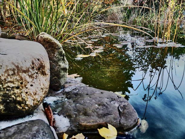 istock Fairy pond with huge stones on the shore. 1150933428