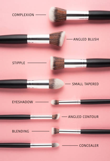 beauty brushes. - foundation paintbrush make up brush femininity imagens e fotografias de stock