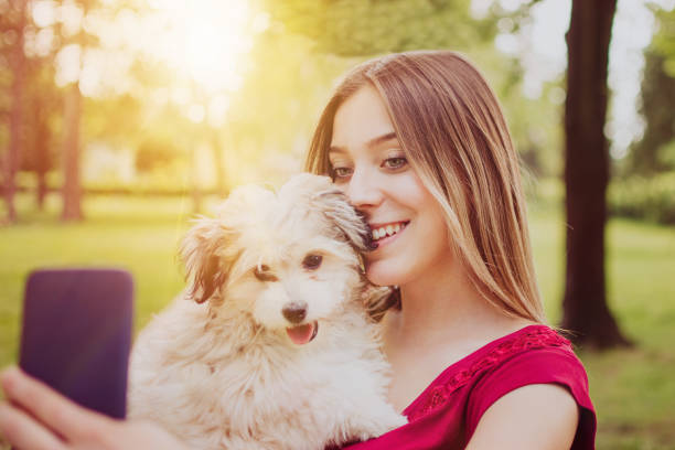 Woman guiding Border Collie dog through legs in a weaving trick, showing obedience and trust. Perfect for training concept, pet sitter service, and human-animal bond illustrations. Vertical photo