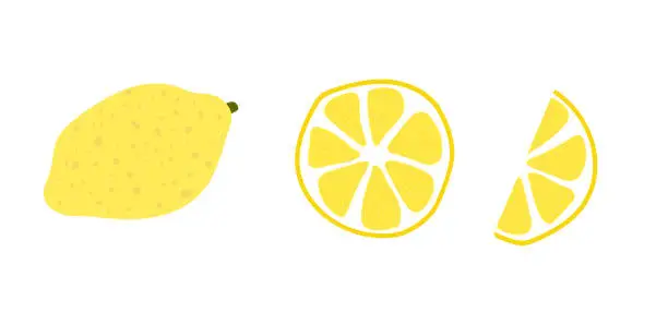 Vector illustration of doodle set lemon cut