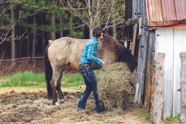 istock Woman feeding horses 1150937796