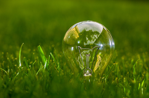Light bulb on the gree grass. Nature and energy saving