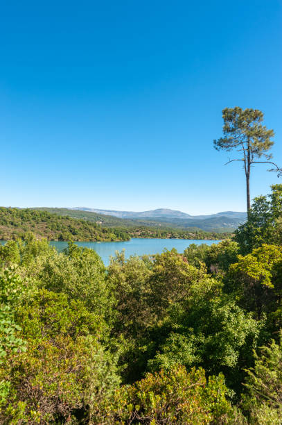 istock Lake Saint-Cassien near Montauroux 1150940105