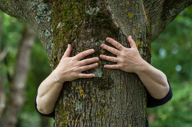 istock woman hugging a tree trunk in a forest 1150941565