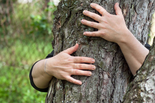 istock woman hugging a tree trunk in a forest 1150941581
