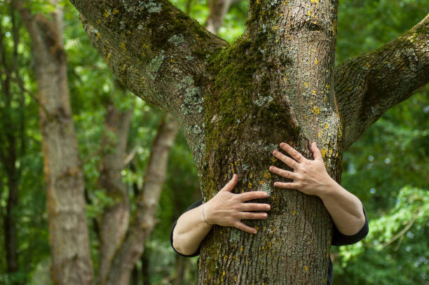 istock woman hugging a tree trunk in a forest 1150941810