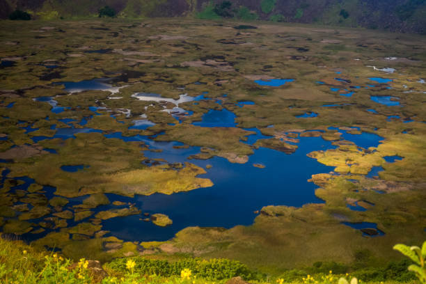 lago all'interno del cratere del vulcano rano kao sull'isola di pasqua. cile - rano kao foto e immagini stock
