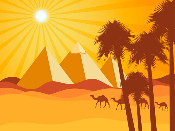 Egyptian pyramids in the desert. Camels in the desert. Vector background. Illustration. Egyptian pyramids in the desert. Camels in the desert. Vector background. Illustration. pyramid of mycerinus stock illustrations