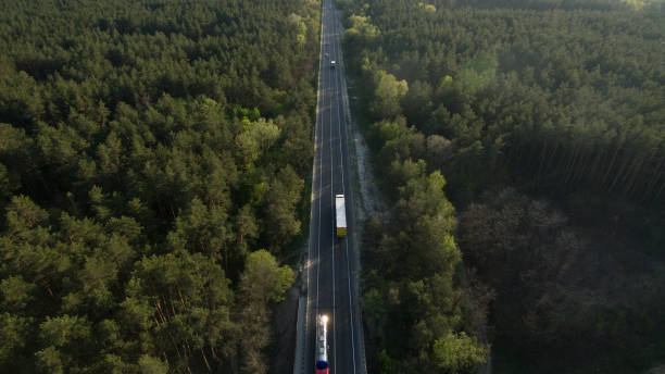 istock Nature at sunset. View of the green forest 1150948249