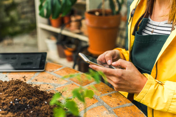 istock Women Typing on mobile phone 1150948720