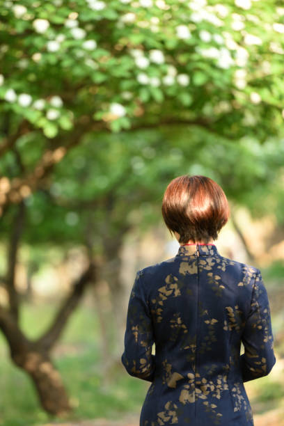 istock Traditional Chinese clothing is displayed under the hawthorn tree 1150959609