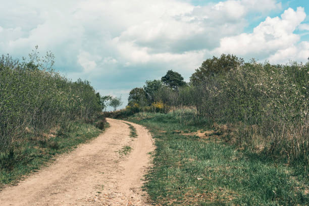 istock Dirt road uphill in cloudy countryside. 1150962854