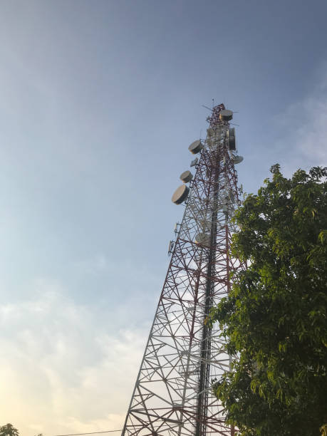 istock telecommunication tower and tree at evening at Thailand 1150964865