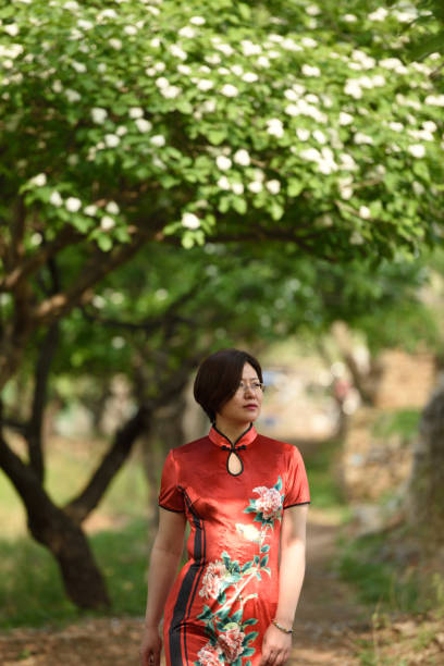 istock Traditional Chinese clothing is displayed under the hawthorn tree 1150965479