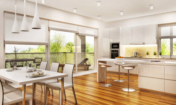 Modern kitchen and living room