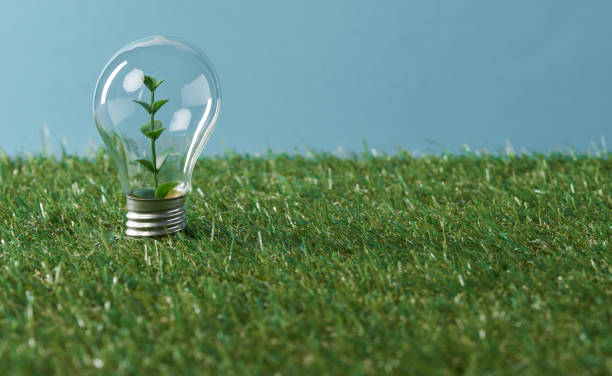 istock light bulb with plant on green grass and blue background 1150978109