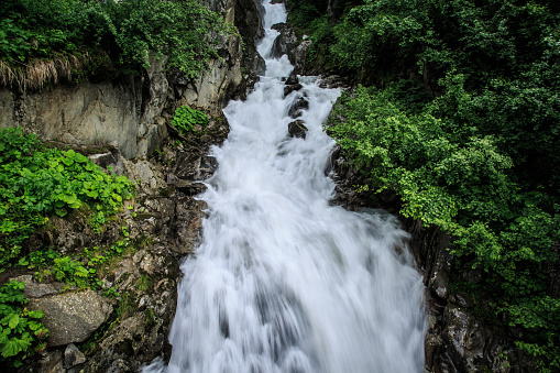 Rock - Object, Flowing Water, Forest, Rainforest, River