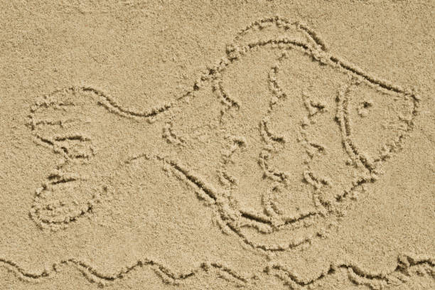 istock fish symbol written on sand 1150981534