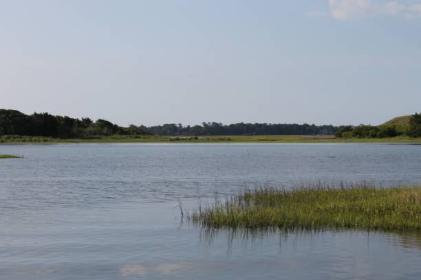 istock Grassy intracoastal waterway 1150981778