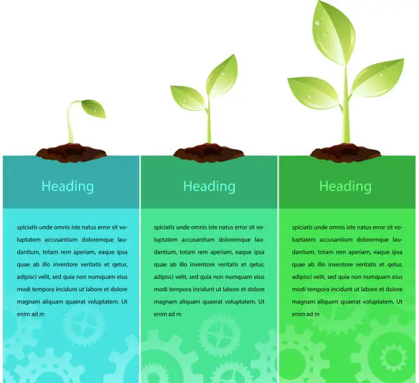 Vector illustration of growing plant infographics