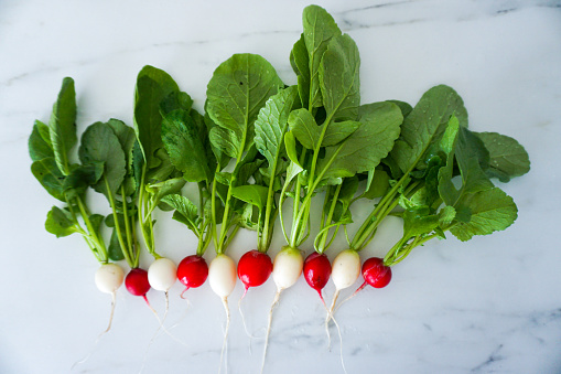 Directly above of fresh organic radish vegetable on marble table