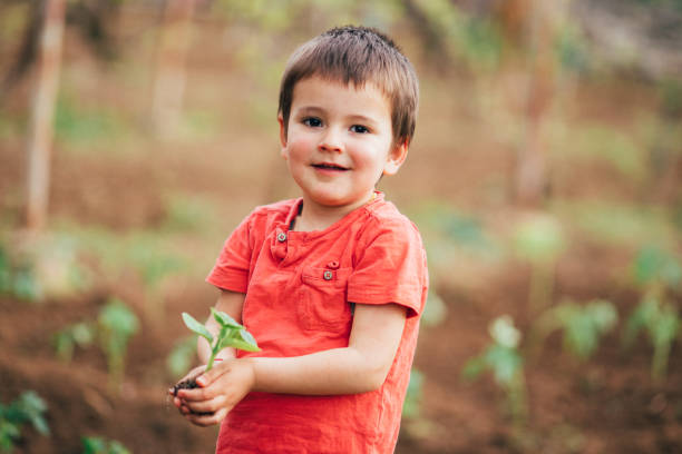 Cute little boy holding young plant in hand.
