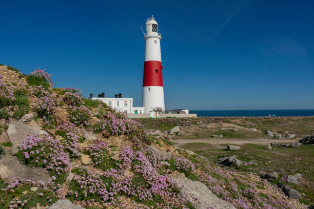 istock Portland Bill Lighthouse With Sea Thrift 1150995303