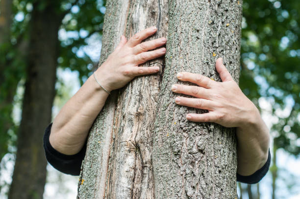 istock woman hugging a tree trunk in a forest 1150997854