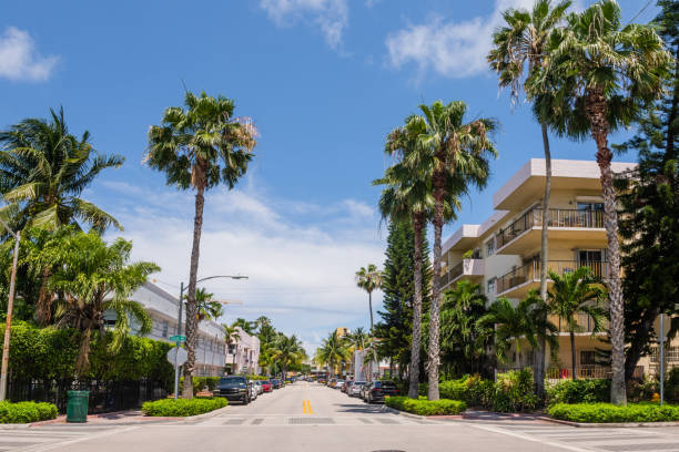 istock Tropical Miami Beach Street Scene with Palm Trees 1150997897