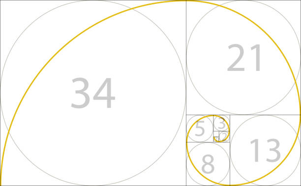 golden ratio geometrisches konzept. fibonacci spirale. vektor-illustration - bildformate stock-grafiken, -clipart, -cartoons und -symbole