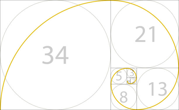 ilustrações de stock, clip art, desenhos animados e ícones de golden ratio geometric concept. fibonacci spiral. vector illustration - gold golden part of black