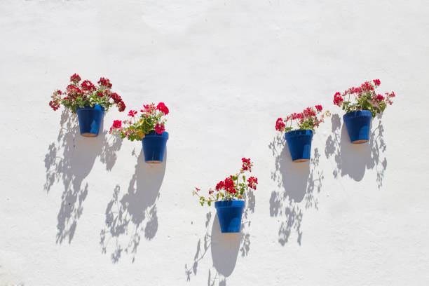 istock Whitewashed wall full of attached blue flower pots 1151002338