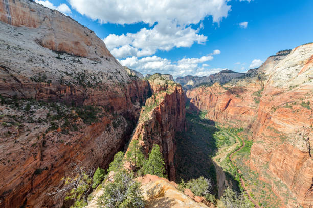 Beautiful wide angle view of Zion National Park