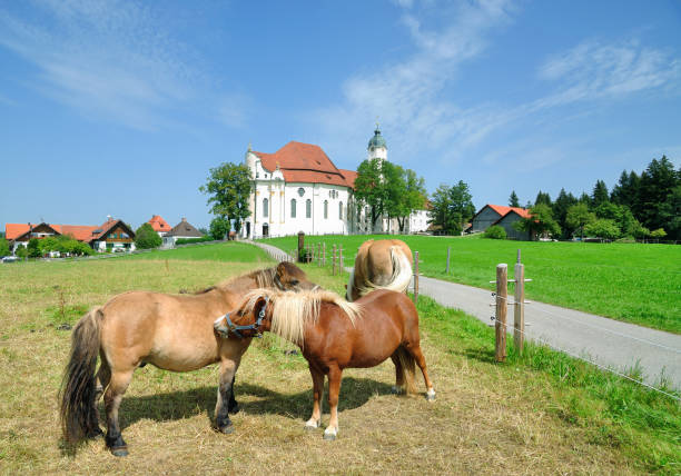 the famous Wieskirche Church in upper bavaria near Steingaden,Germany