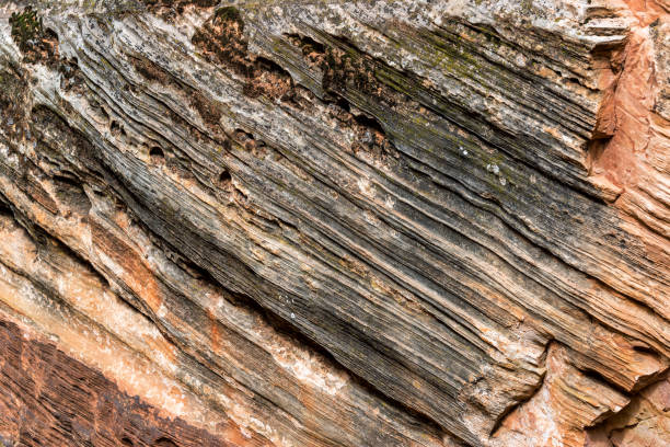 istock Closeup Details in Zion National Park 1151003803