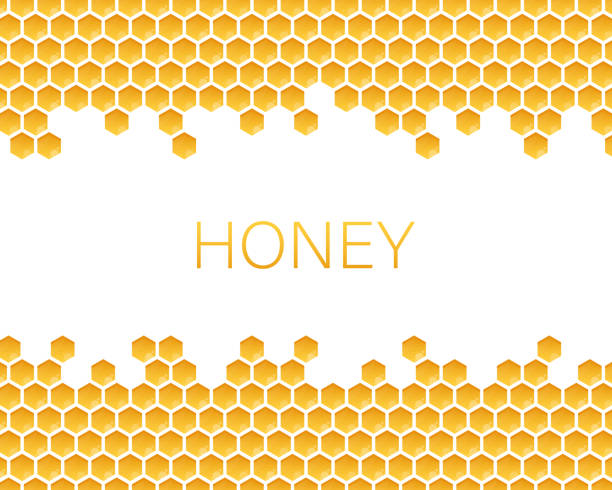 Honeycomb monochrome honey pattern. Vector stock illustration. Honeycomb monochrome honey pattern. Vector illustration bee costume stock illustrations