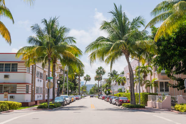 Green tropical plants line a residential street in South Beach on a spring day.